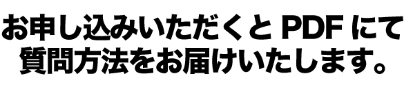 お申し込みいただくとPDFにて質問方法をお届けいたします。